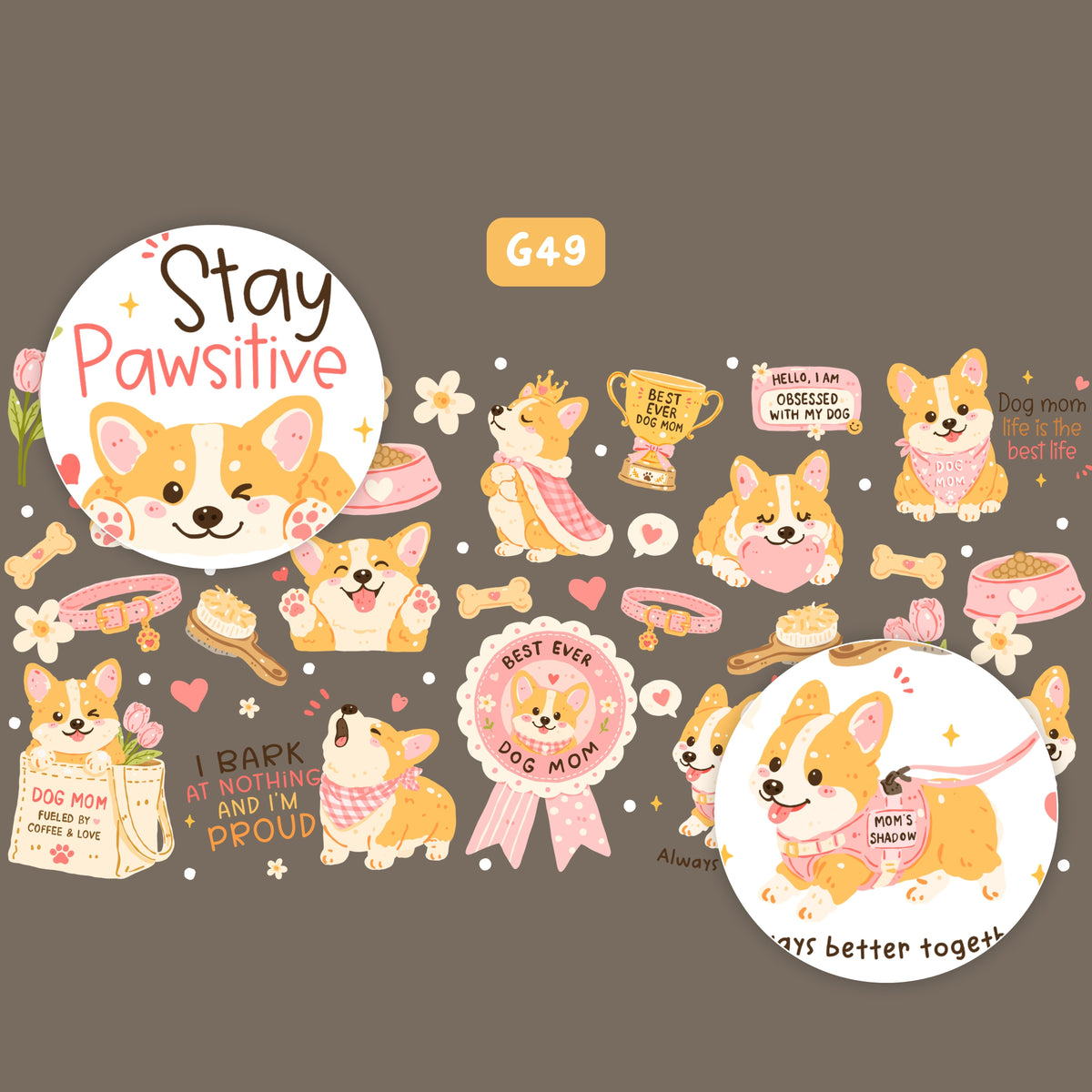 Corgi cute - Dog mom corgi - G49