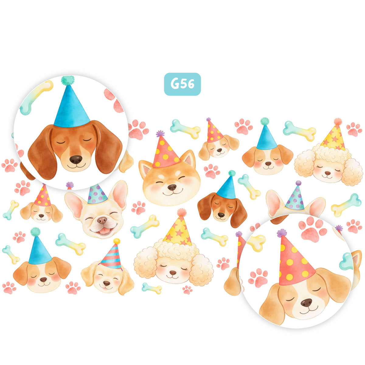 Sinh nhật cún cute - G56